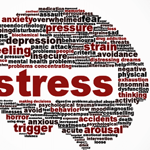 Stress Buster MP3