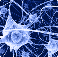 neuron-matrix