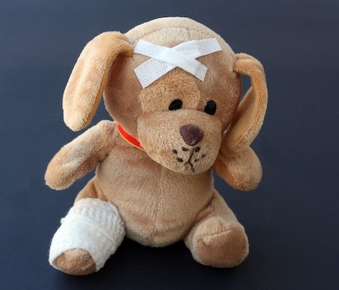 teddy-PBg077d6095e_1920 pain page small